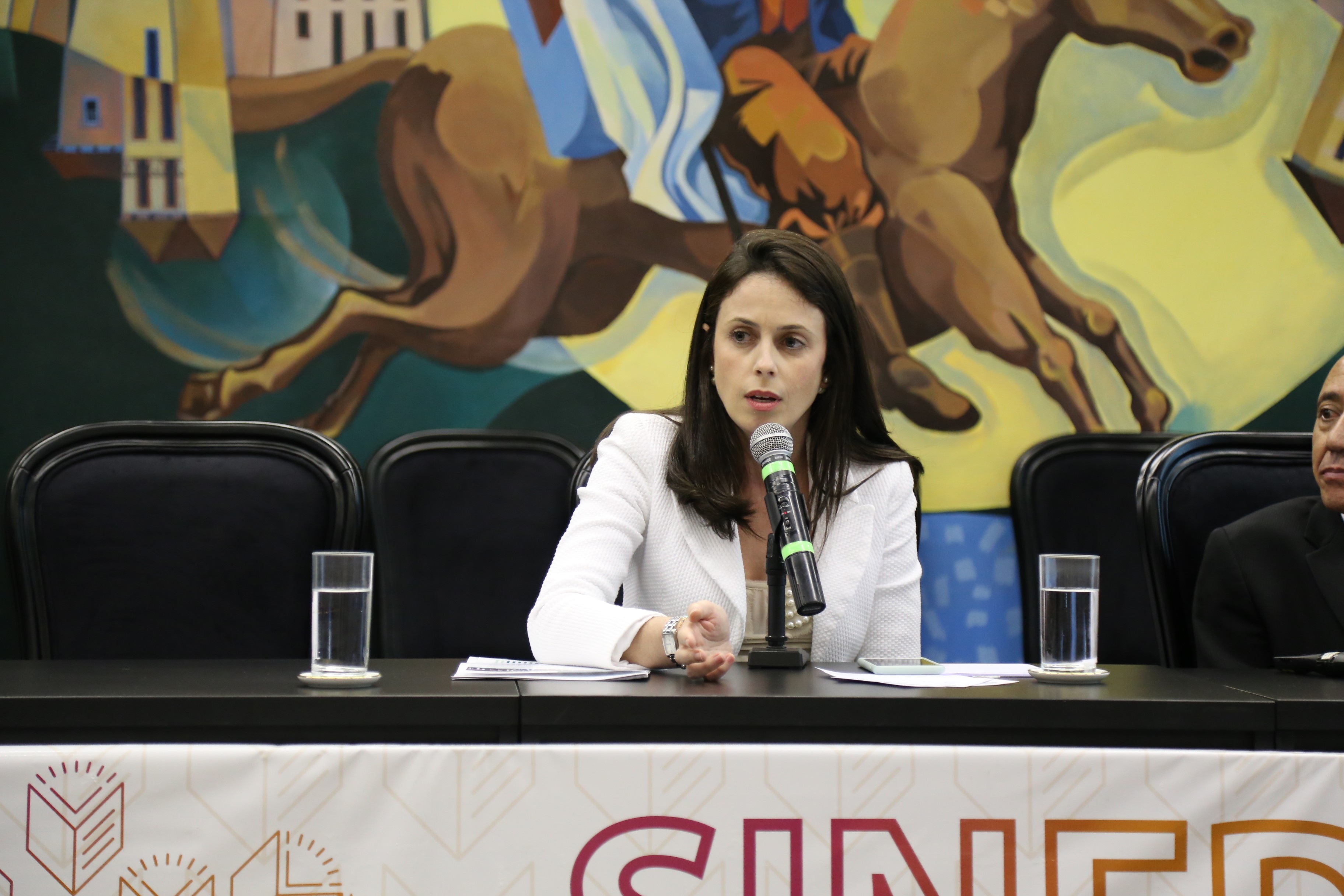 Procuradora do MPC - MG, Cristina Melo ( foto: Luiz Gustavo Ribeiro)